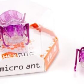 Spin Master Meme The Game: Disney Edition - The Hilarious Family Card Game for Kids & Fans