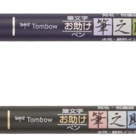 Tombow 62038 Fudenosuke Brush Pen Twin Set - Soft & Hard Tips for Calligraphy & Hand Lettering