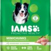 IAMS Proactive Health Adult Minichunks Dry Dog Food, 30 lb. Bag - Chicken & Whole Grain Recipe
