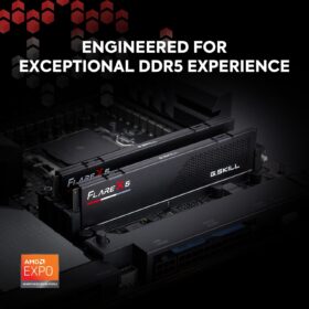 G.SKILL Flare X5 32GB (2x16GB) DDR5-6000 CL30 Desktop Memory - AMD EXPO Optimized - U-DIMM RAM (F5-6000J3038F16GX2-FX5)