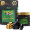Wellness Nest Himalayan Shilajit Gold Resin - 75%+ Fulvic Acid for Peak Vitality, Men & Women | Lab-Tested for Purity, 30g
