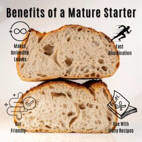 Make Incredible Sourdough at Home | Heirloom Starter from Made With Loave | Includes Easy-to-Follow Recipe | Viral TikTok Sensation | 5g