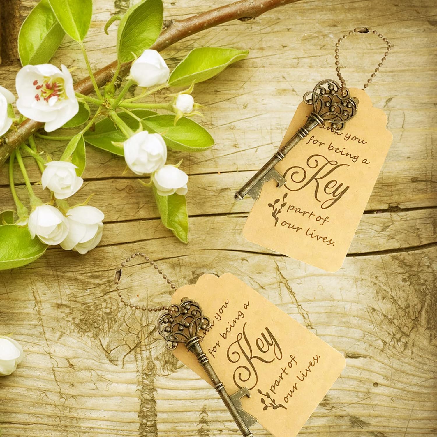 WODEGIFT 100-Pack Vintage Skeleton Key Bottle Openers with Thank You Tags & Keychains – Rustic Bronze Wedding Favors, Housewarming Gifts, and Party Souvenirs