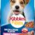 Kibbles 'n Bits Mini Bits Small Breed Dry Dog Food - Savory Bacon & Steak Flavors - 3.5 lb Bag