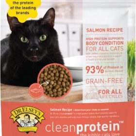 Dr. Elsey's Cleanprotein Salmon Formula High-Protein Grain-Free Dry Cat Food