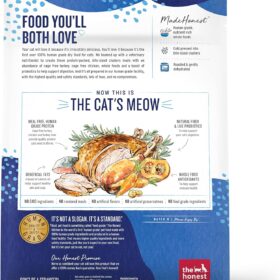 The Honest Kitchen Human Grade Whole Food Clusters – Grain Free Dry Cat Food with Turkey & Chicken (1 lb Trial Pouch)
