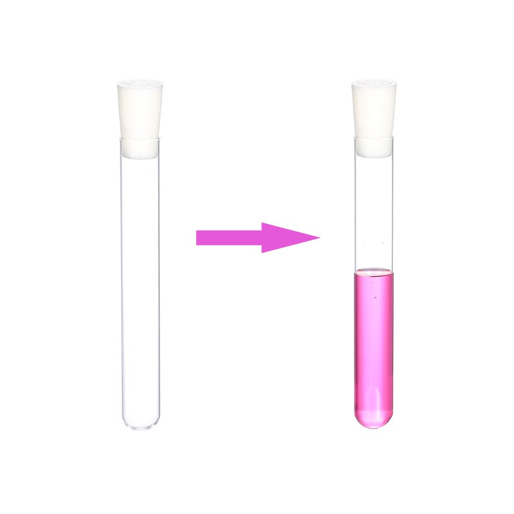 Premium Clear Glass Test Tubes with Rubber Stoppers – 150mm x 20mm (Pack of 10) – Includes Cleaning Brush | Reusable Science Lab Supplies, Herb Storage & Wedding Party Favor Vials