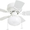 Prominence Home Hero 28-Inch LED Ceiling Fan with Light - White Finish with Dual-Color Blades, Reversible Motor for Summer/Winter, Traditional Flush Mount Design for Living Rooms or Bedrooms