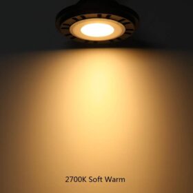 PAR36 LED Landscape Lighting Bulb - 6W Low Voltage (9-17V AC/DC) 2700K Warm White - Waterproof Replacement Well Light for Tree Uplighting & Flag Poles (Aluminum Housing)