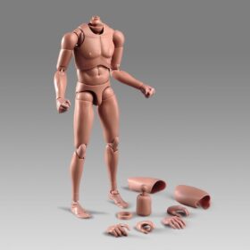 1:6 Scale Male Action Figure Body – 12 Inch Articulated Muscular Model for Photography, Customization & Drawing