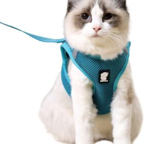 HEYWEAN Ultra-Light Escape Proof Cat Harness and Leash Set – Soft Mesh Walking Jacket Vest with Comfort Cushioning for Kittens, Cats & Small Puppies