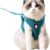 HEYWEAN Ultra-Light Escape Proof Cat Harness and Leash Set – Soft Mesh Walking Jacket Vest with Comfort Cushioning for Kittens, Cats & Small Puppies