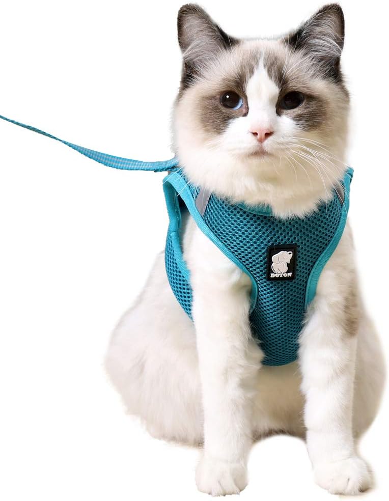 HEYWEAN Ultra-Light Escape Proof Cat Harness and Leash Set – Soft Mesh Walking Jacket Vest with Comfort Cushioning for Kittens, Cats & Small Puppies