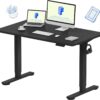 FLEXISPOT EN1 Electric Standing Desk – 48x24 Inch One-Piece Height Adjustable Table with Memory Preset, Sit-Stand Workstation for Home Office, Black