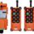 F21-E1B Industrial Crane Remote Control System - 100m Wireless Transmitter & Receiver Kit (2 Transmitters, 1 Receiver)