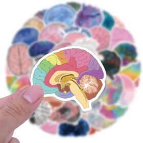 50Pcs Cute Brain Stickers for Kids & Adults - Funny Cartoon Vinyl Decals, Waterproof Mental Health & Biology Stickers for Water Bottles, Laptops, Scrapbooks