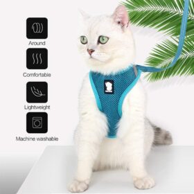 HEYWEAN Ultra-Light Escape Proof Cat Harness and Leash Set – Soft Mesh Walking Jacket Vest with Comfort Cushioning for Kittens, Cats & Small Puppies