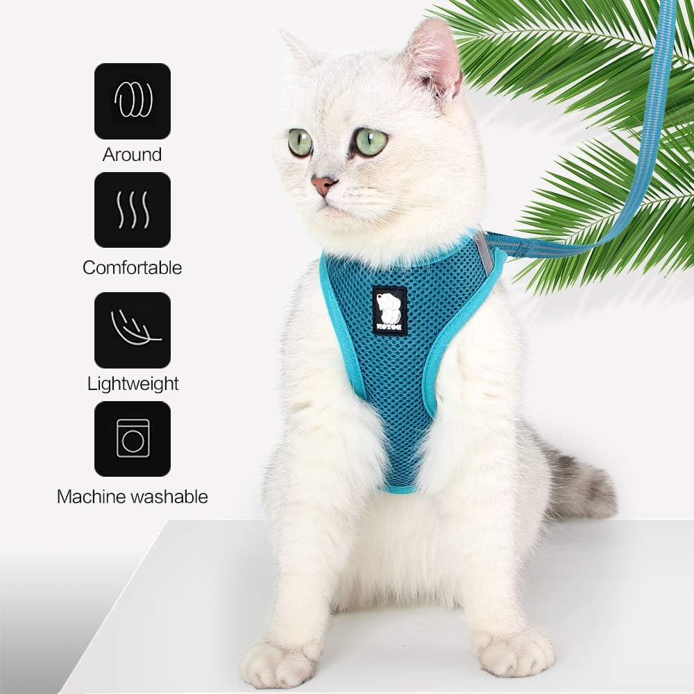 HEYWEAN Ultra-Light Escape Proof Cat Harness and Leash Set – Soft Mesh Walking Jacket Vest with Comfort Cushioning for Kittens, Cats & Small Puppies