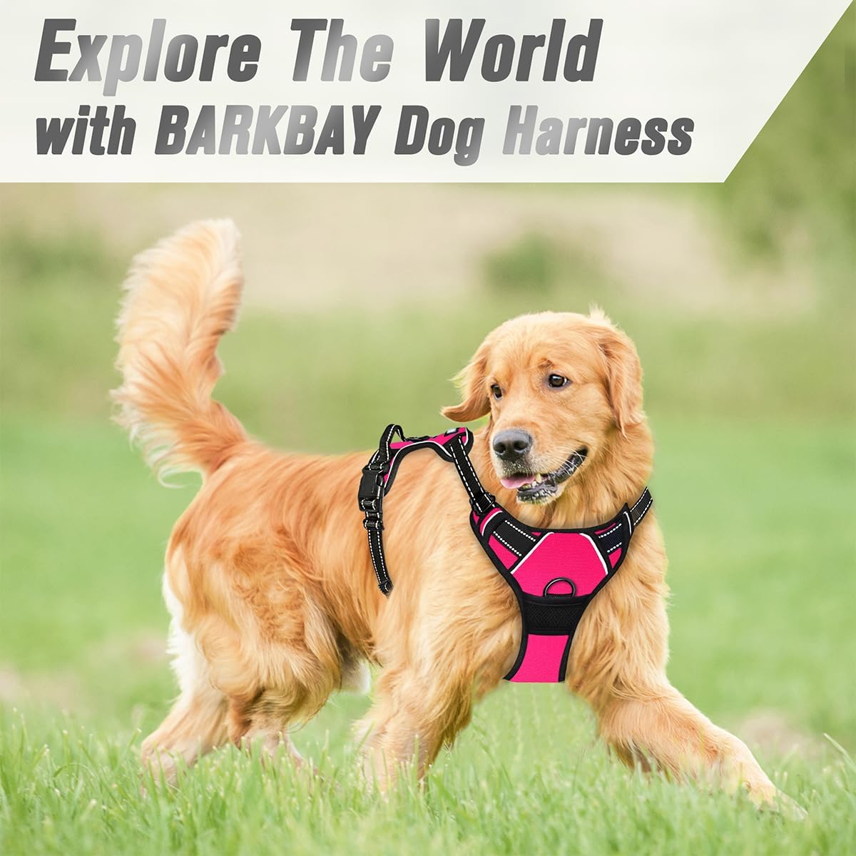 BARKBAY No-Pull Dog Harness with Front Clip & Handle – Heavy Duty Reflective Adjustable Vest for Large Dogs (Pink, Large)