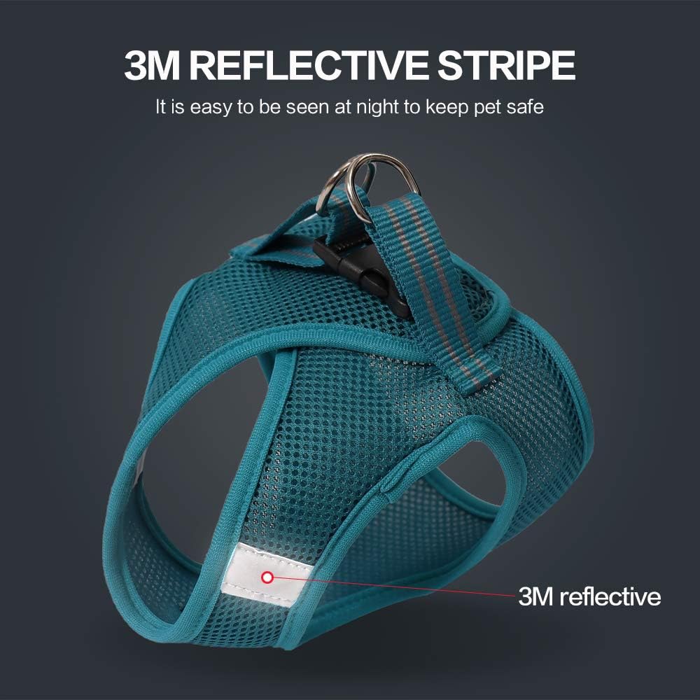 HEYWEAN Ultra-Light Escape Proof Cat Harness and Leash Set – Soft Mesh Walking Jacket Vest with Comfort Cushioning for Kittens, Cats & Small Puppies