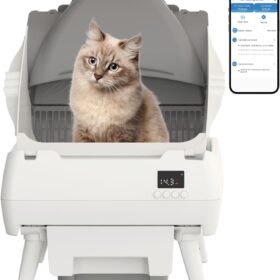 Smart Self-Cleaning Cat Litter Box with App Control - Open Design, Odor-Free & Anti-Pinch for Kittens & Medium Cats