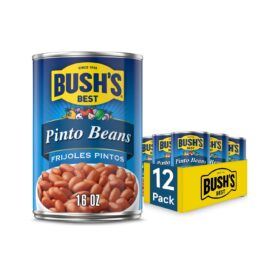 BUSH'S BEST Canned Pinto Beans, 16 oz (Pack of 12) | Plant-Based Protein, Gluten Free, Low Fat, Pantry Essential for Chili, Salads & Soups