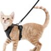 rabbitgoo Cat Harness and Leash Set - Escape Proof Adjustable Walking Vest with Reflective Strips - Lightweight & Breathable for Indoor & Outdoor Control (Black, XS)