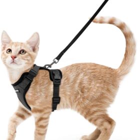 rabbitgoo Cat Harness and Leash Set - Escape Proof Adjustable Walking Vest with Reflective Strips - Lightweight & Breathable for Indoor & Outdoor Control (Black, XS)