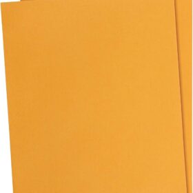 Amazon Basics Clasp Kraft Envelopes - 9 x 12 Inch Gummed Mailing Envelopes, Heavy Duty Brown Craft Paper for Secure Document Storage & Shipping, 100-Pack