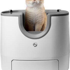 FuroomateCare F8 Self-Cleaning Cat Litter Box – Open-Top, Ultra-Quiet Automatic Scooper with Safety Sensors & Deodorizer for Large Cats & Multi-Cat Homes