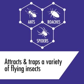 STEM Plant-Based Bug Spray – Botanical Insecticide for Ants, Roaches, and Spiders | Safe for Use Around Kids & Pets | Indoor & Outdoor Defense (10 fl oz)