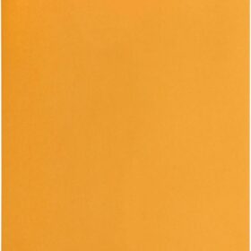 Amazon Basics Clasp Kraft Envelopes - 9 x 12 Inch Gummed Mailing Envelopes, Heavy Duty Brown Craft Paper for Secure Document Storage & Shipping, 100-Pack