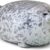 MerryXD Chubby Blob Seal Plush Pillow - Ultra-Soft Stuffed Cotton Ocean Animal Toy, Cute Small Hugging Buddy (13 Inches)