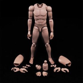 1:6 Scale Male Action Figure Body – 12 Inch Articulated Muscular Model for Photography, Customization & Drawing