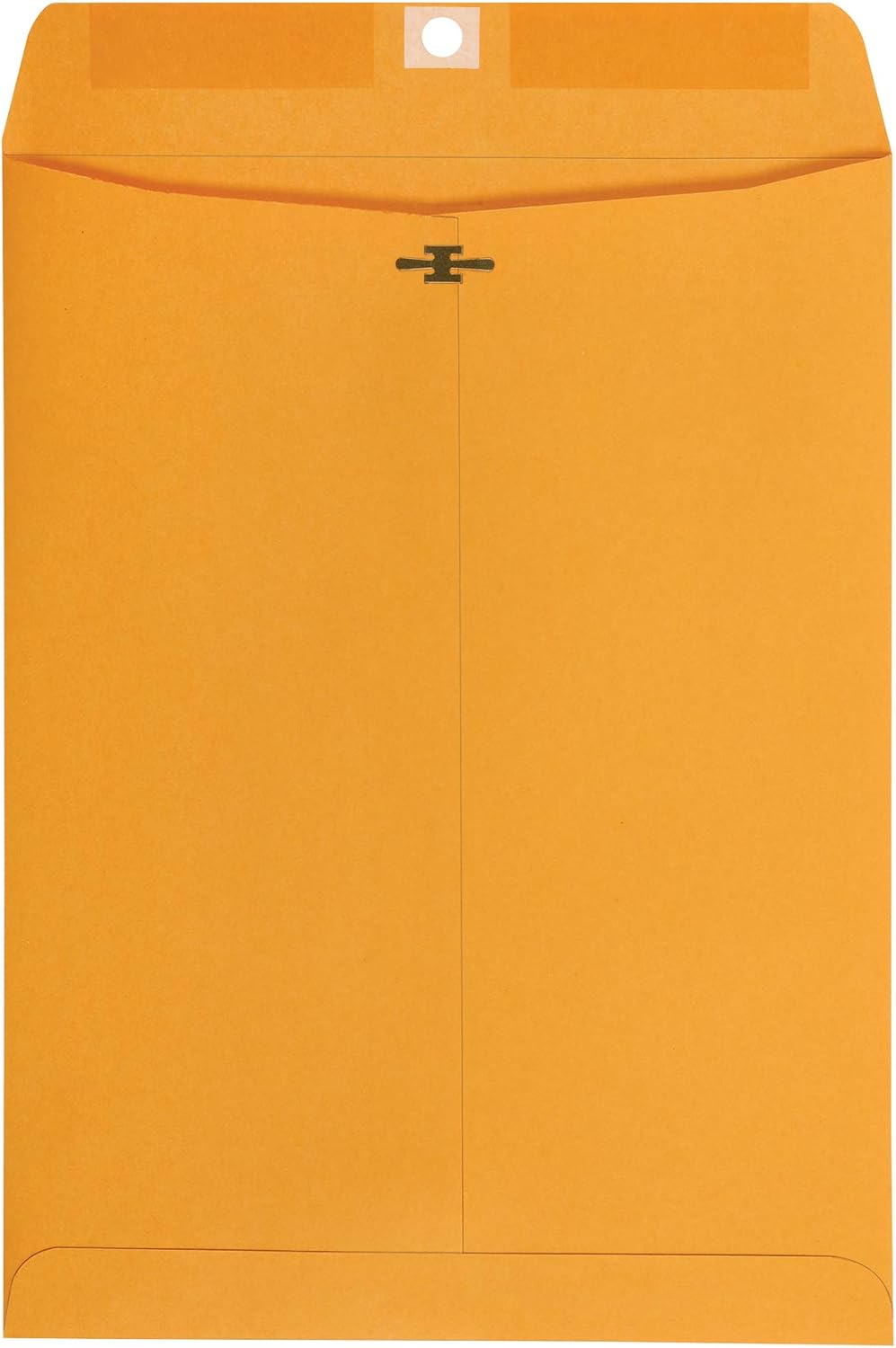 Amazon Basics Clasp Kraft Envelopes - 9 x 12 Inch Gummed Mailing Envelopes, Heavy Duty Brown Craft Paper for Secure Document Storage & Shipping, 100-Pack