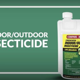 Compare-N-Save 7.9% Bifenthrin Insecticide Concentrate - Indoor & Outdoor Pest Control (32-Ounce)