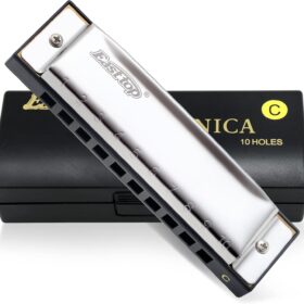 East top Diatonic Harmonica in C – Professional 10 Hole Blues Harp with Stainless Steel Cover & ABS Comb – Includes Zipper Case and Cleaning Cloth for All Skill Levels
