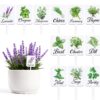 GardenMate 12-Piece Acrylic Herb Garden Markers – Weatherproof Plant Labels for Basil, Mint, Rosemary & More – Indoor & Outdoor Plant Stakes (6.8 x 10.2 cm)