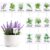 GardenMate 12-Piece Acrylic Herb Garden Markers – Weatherproof Plant Labels for Basil, Mint, Rosemary & More – Indoor & Outdoor Plant Stakes (6.8 x 10.2 cm)