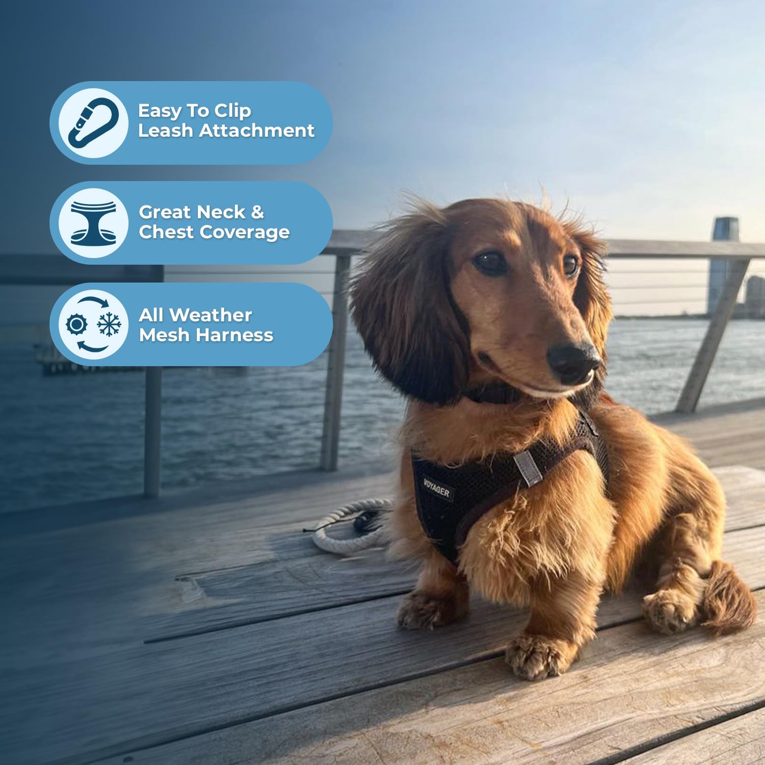 Voyager Step-In Air Dog & Cat Harness – All-Weather No Pull Mesh Vest with Reflective Bands – Black, Large