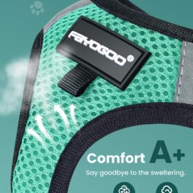 FAYOGOO Escape Proof Cat Harness and Leash Set – Reflective, Lightweight Step-In Vest for Kittens and Small Dogs
