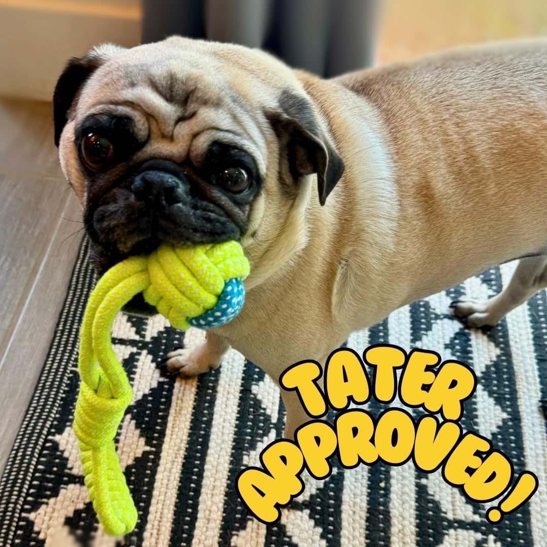 Tater's Choice 4-Piece Premium Cotton Rope Dog Toy Set – Interactive Tug, Chew & Dental Cleaning Combo for Small to Medium Breeds