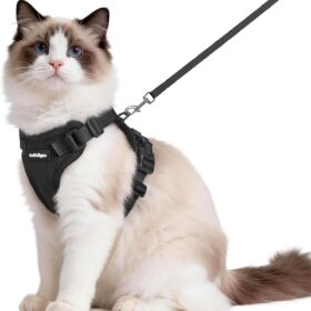 rabbitgoo Cat Harness and Leash for Walking Cats - Escape Proof Adjustable Vest Jacket with Reflective Strips for Indoor & Outdoor Control (Black, Medium/Large)