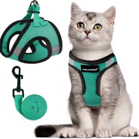 FAYOGOO Escape Proof Cat Harness and Leash Set – Reflective, Lightweight Step-In Vest for Kittens and Small Dogs