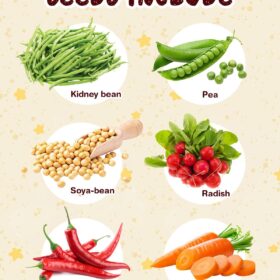 Root Viewer Garden Kit for Kids – STEM Botany Science Kit with 6 Seed Varieties, Transparent Planter & Educational Guide – Ideal Gifts for Boys & Girls Ages 5-12