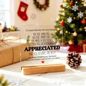 Inspirational Acrylic Desk Sign with Wooden Stand - Motivational Office Decor, Thank You & Appreciation Gift for Coworkers, Teachers, Nurses, Men & Women