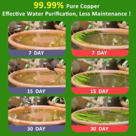 Pure Copper Bird Bath Disk - 99.99% Copper Ion Water Purifier for Outdoor Birdbaths & Bowls - Algae Prevention, Heavy-Duty Triple Support Design