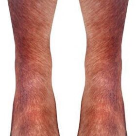 FreeNFond Unisex Animal Paw Print Socks – Hilarious White Elephant & Gag Gift