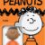 Super7 Peanuts Franklin ReAction Figure - 3.75 Inch Retro Articulated Action Figure with Vintage Cardback Packaging