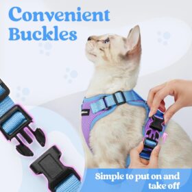 rabbitgoo Cat Harness and Leash Set - Escape Proof Adjustable Kitten Vest Jacket with Reflective Strips for Outdoor Walking (XS, Purple & Blue)